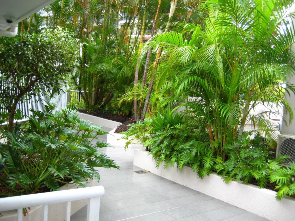 Costa D'Ora Holiday Apartments Gold Coast Exterior photo